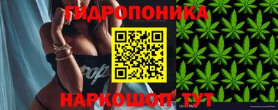 дживик Будённовск