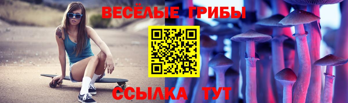Галлюциногенные грибы ЛСД Шуя